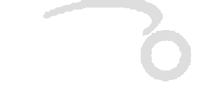 WNO logo